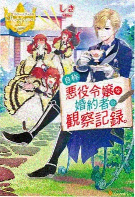 银枝与铁冠 奇幻漫画封面